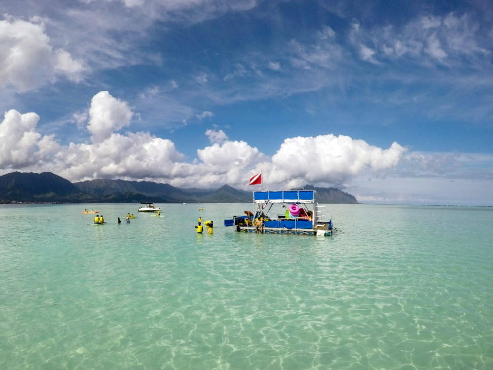 ホノルルマラソン2023 ランナー特典 12/12まで // キャプテンブルース