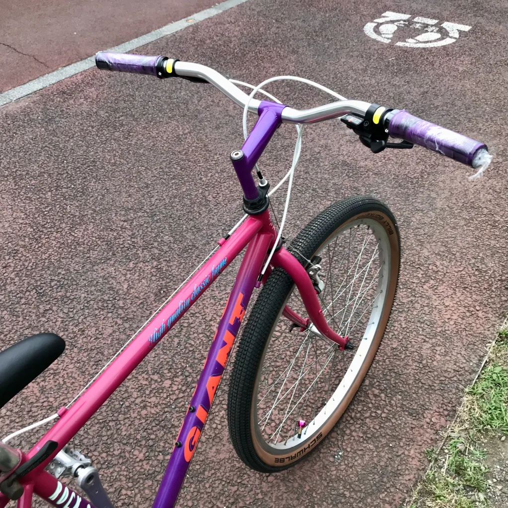 GIANT ROCK レストアモデル クロモリ OLD MTB 通勤通学にもおすすめの