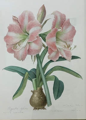 花の美しさをそのままに ボタニカルアート｜深谷カルチャーセンター