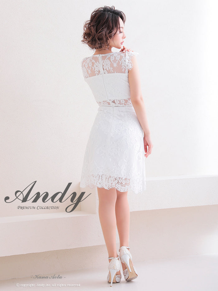 Andy/AN-OK2781/ワンピース/ミニドレス/タイトワンピース/総レース