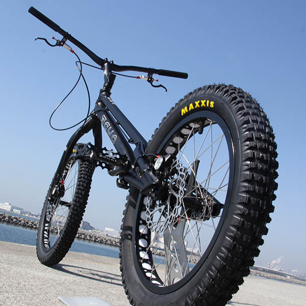 ECHO MARK6 PLUS 20in 詳細 - まめつぶ.サイクル