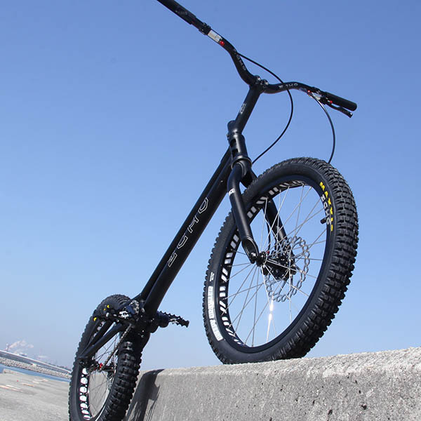 ECHO MARK6 PLUS 20in 詳細 - まめつぶ.サイクル