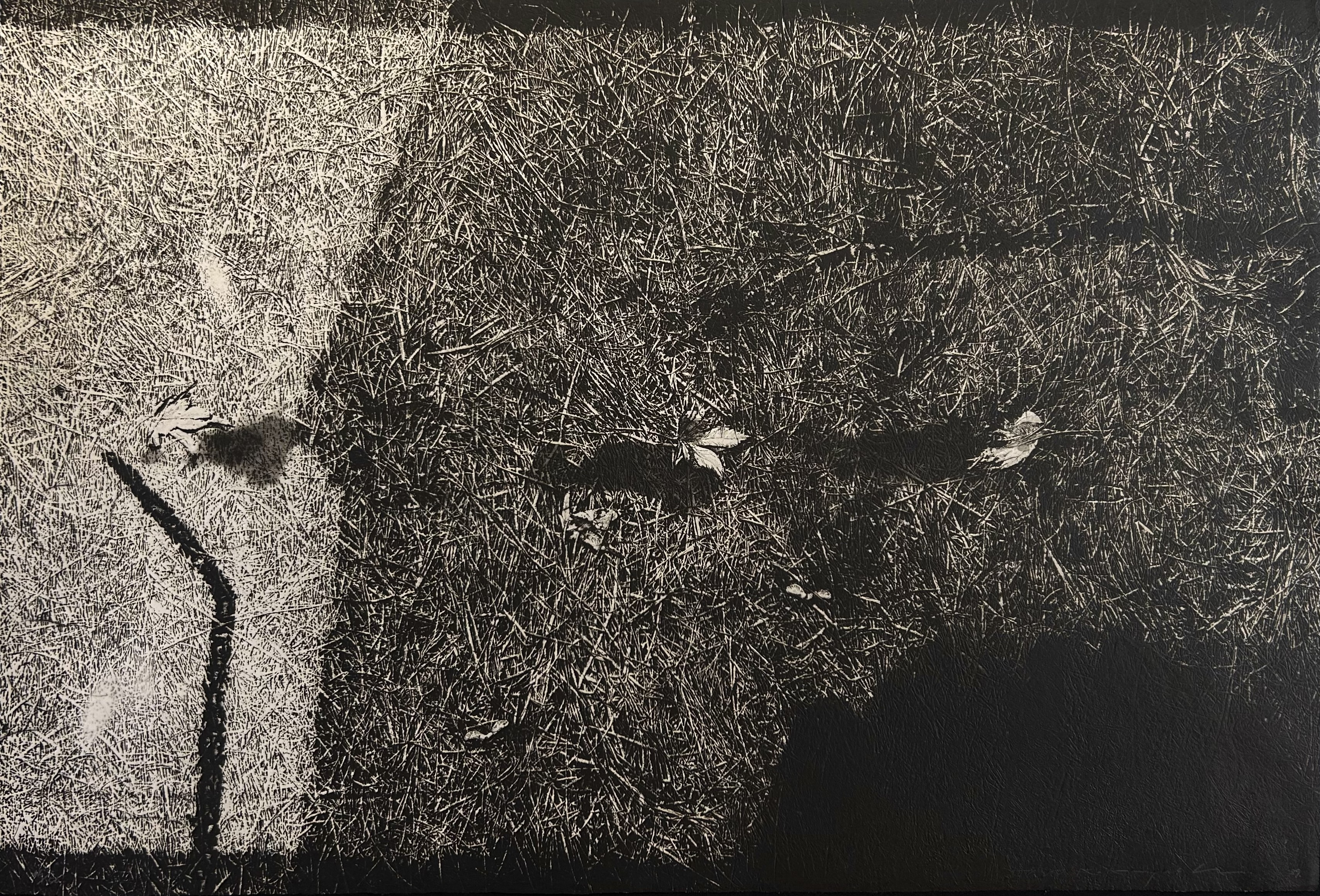 転位'89-地-II by 中林忠良｜Tadayoshi Nakabayashi | Art Scenes