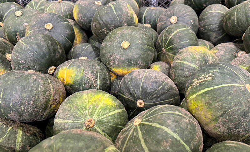 かぼちゃ - 株式会社2f