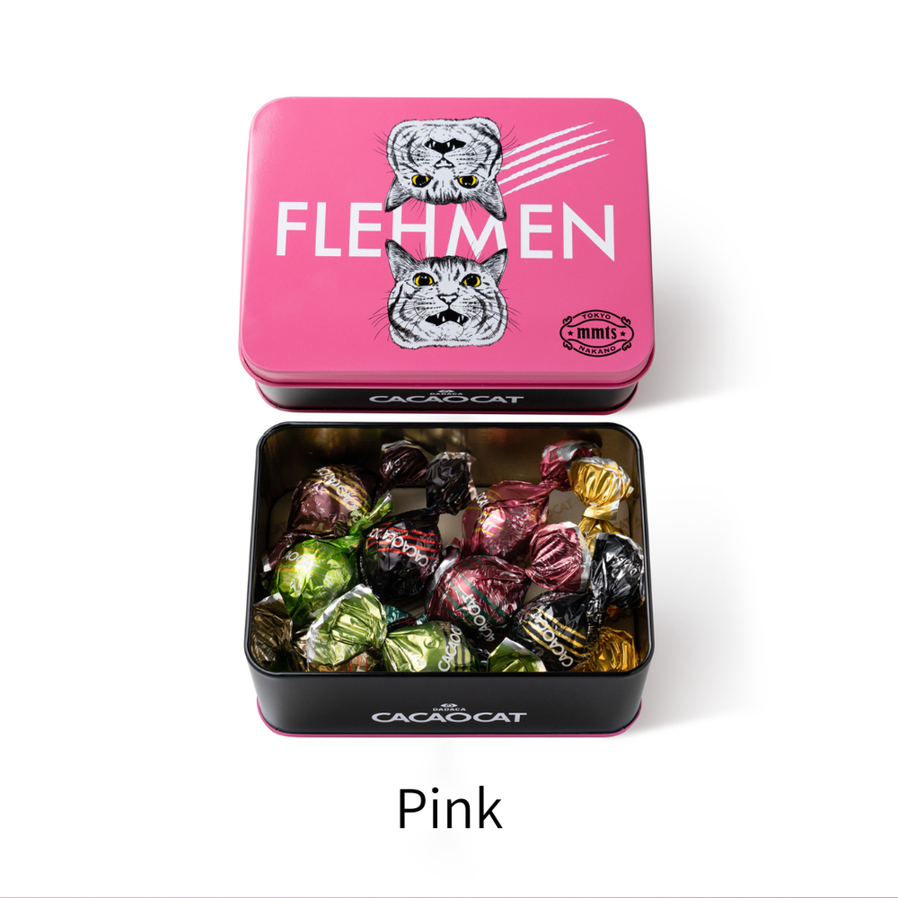 CACAOCAT缶 9個入 mmts ｜DADACA Online Store