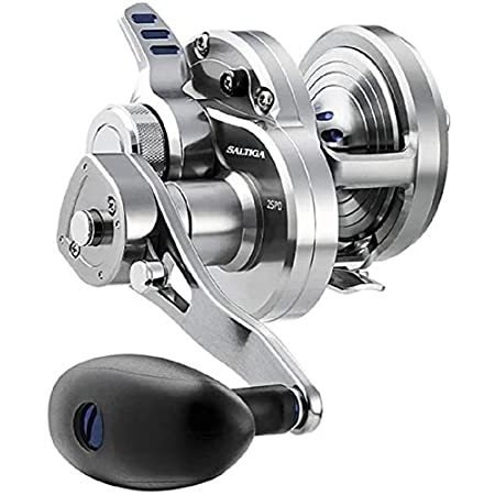 送料無料！日本未発売！ダイワ ソルティガ DAIWA SALTIGA LD60-2SPEED