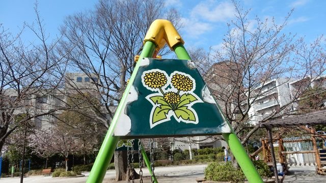 たんぽぽ公園」各地のたんぽぽ開花情報をお伝えします :: デイリー