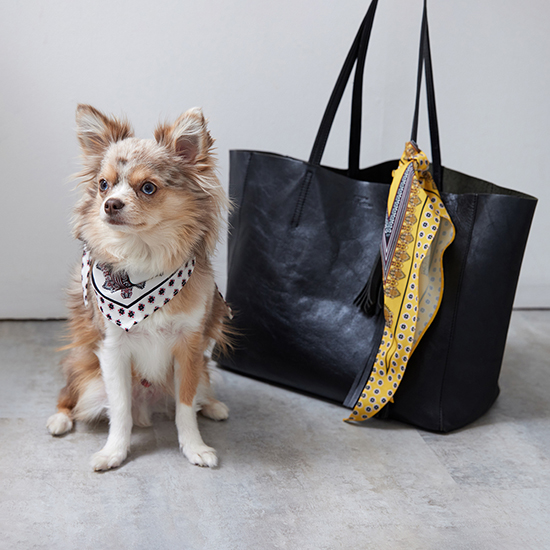 Numéro wang]クラシックトライアングルスカーフ | KOBUNSHA SELECT