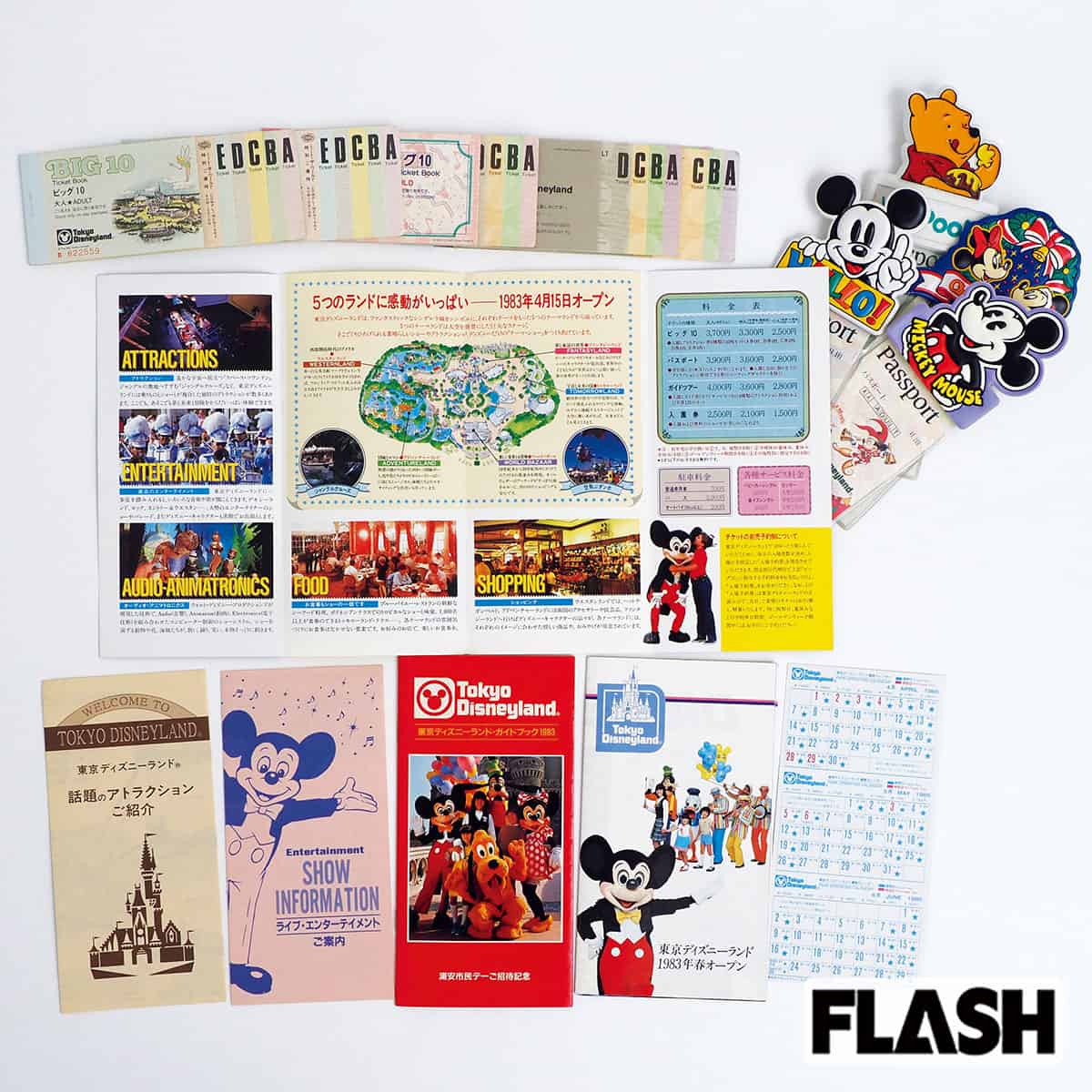 お値段 7万7000円！ 東京ディズニーランド懐かしのチケット