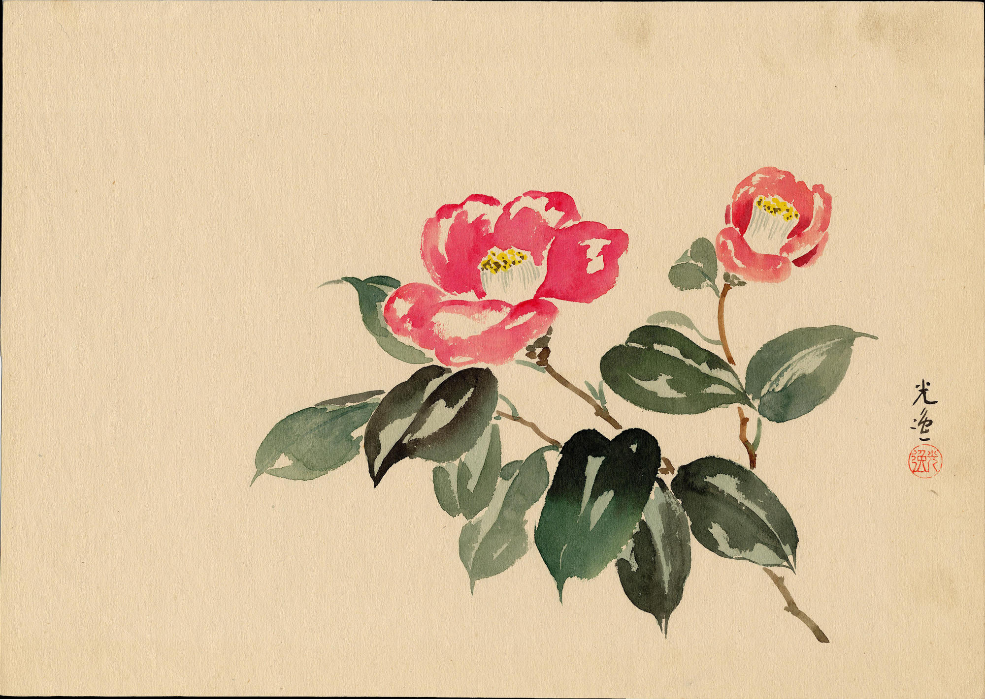 風光礼讃による浮世絵「Camellia - 椿 (1)」