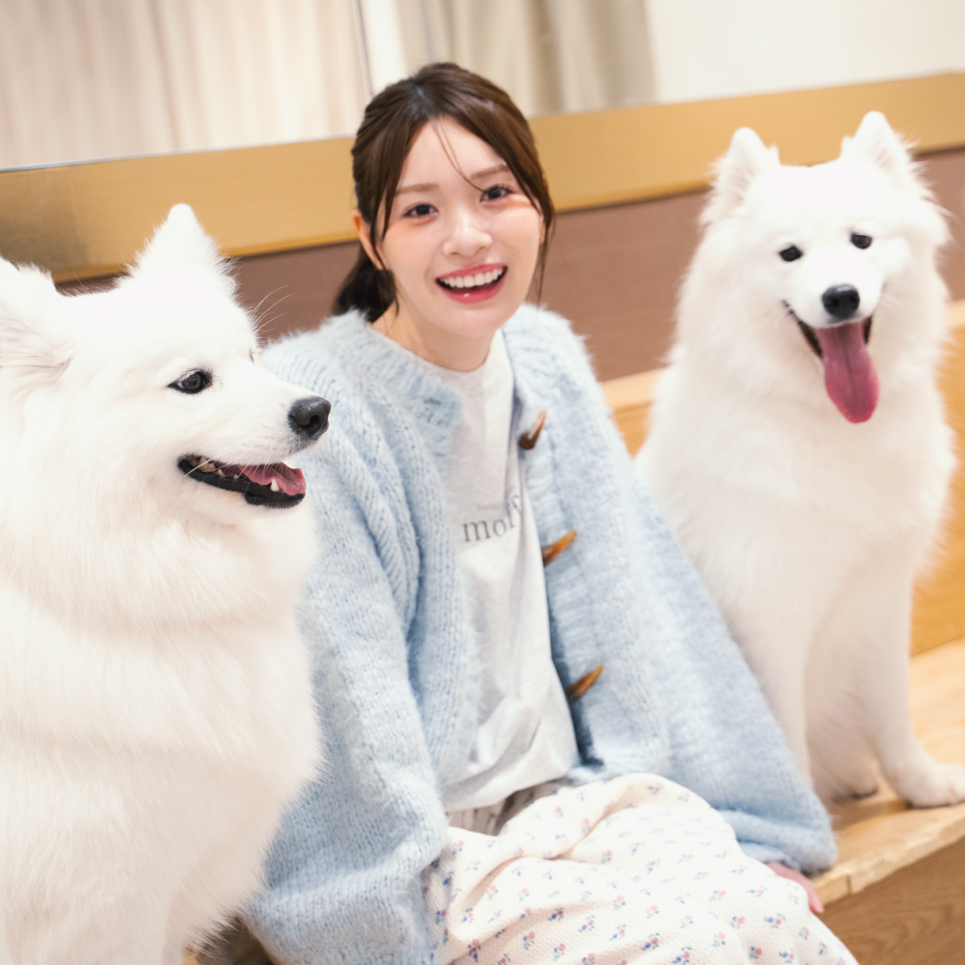 真っ白なふわふわに包まれて。サモエドカフェmoffu ✕ FREAK'S STORE