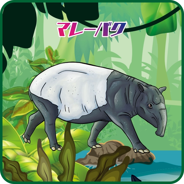 ジャングル＆Co.（アンドコ） | デアゴスティーニ公式