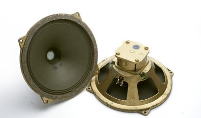 Grundig 8inch Phenolic spider NT3 full range - ヴィンテージ