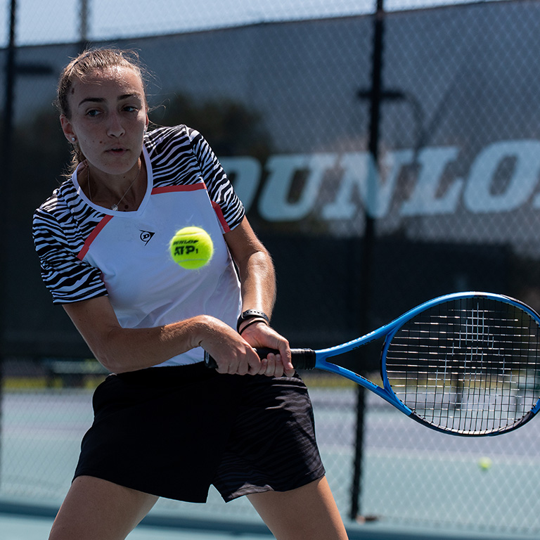 ダンロップ 23FX 500 LS DUNLOP FX 500 LS DS22302 | ダンロップ