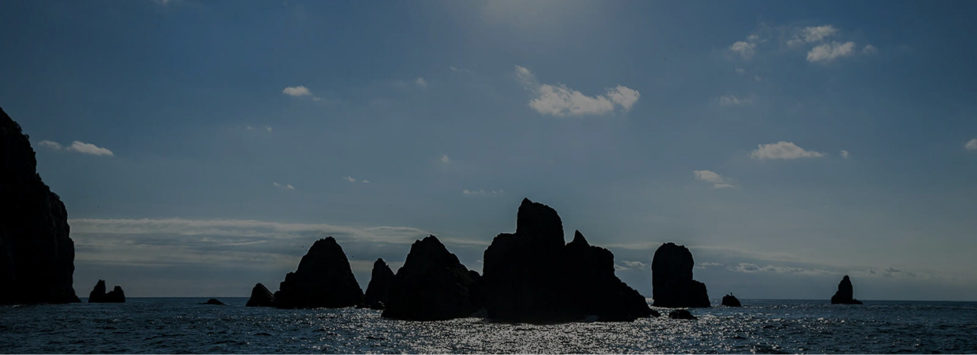 D-VEC（ディーベック）公式ブランド・通販サイト