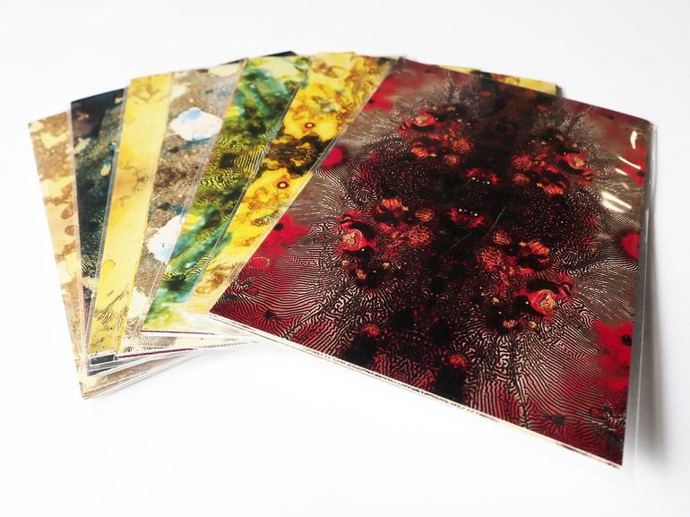 世界最古の技法パート・ド・ヴェールでこれまでにないガラス食器を作り