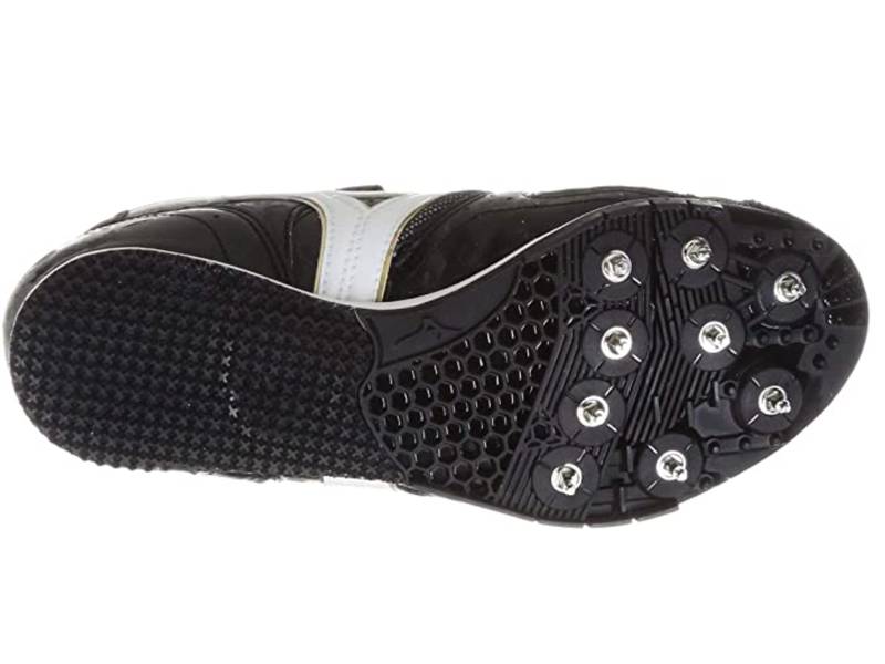 フィールドジオLJ-C 評価レビュー｜Picker for T&F