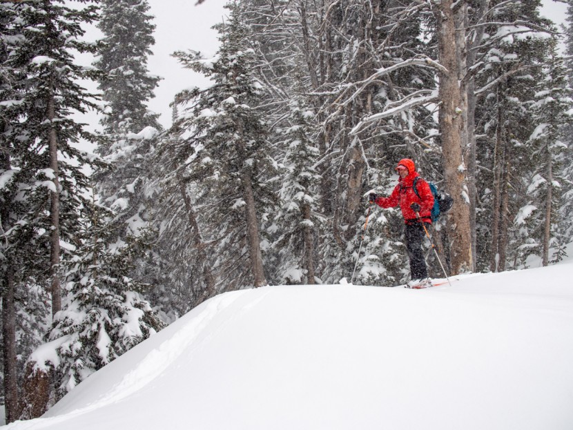 Fischer Transalp 90 Carbon Review | Tested & Rated