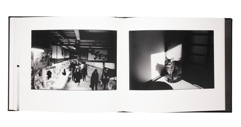 Dream Within a Dream Special Edition (D) - Masakazu MURAKAMI | ZEN