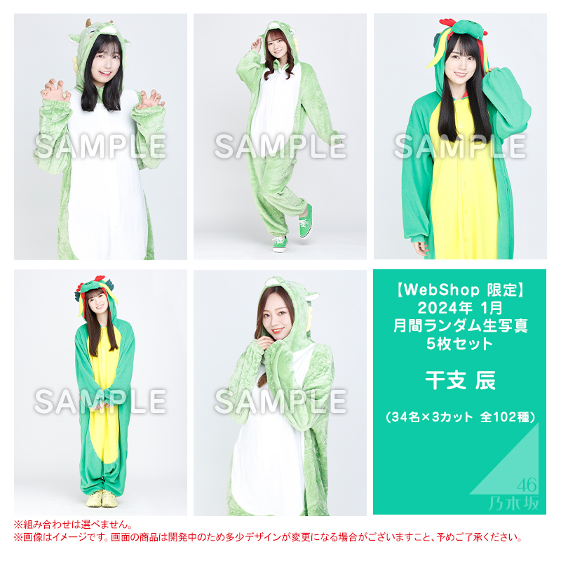 乃木坂46 OFFICIAL WEB SHOP | 乃木坂46 グッズ通販サイト