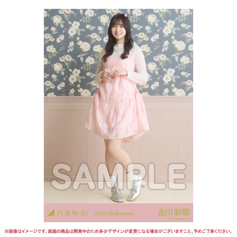 乃木坂46 OFFICIAL WEB SHOP | 乃木坂46 グッズ通販サイト