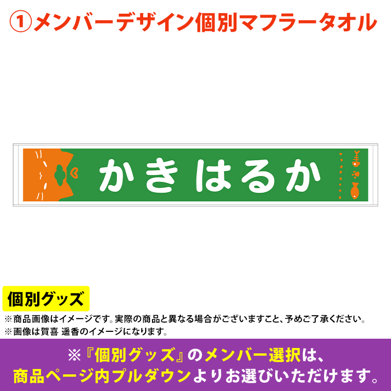 乃木坂46 OFFICIAL WEB SHOP | 乃木坂46 グッズ通販サイト