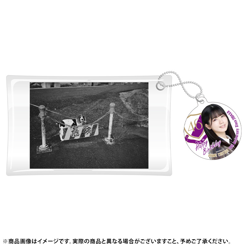 乃木坂46 OFFICIAL WEB SHOP | 乃木坂46 グッズ通販サイト