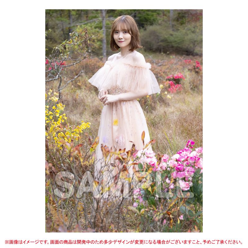 乃木坂46 OFFICIAL WEB SHOP | 乃木坂46 グッズ通販サイト