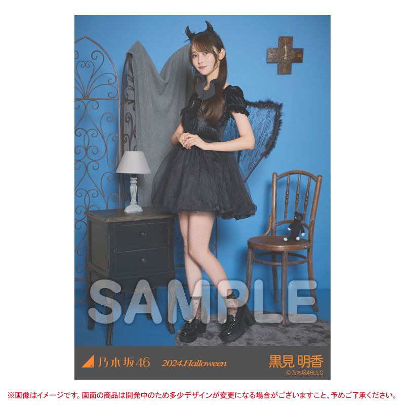 乃木坂46 OFFICIAL WEB SHOP | 乃木坂46 グッズ通販サイト