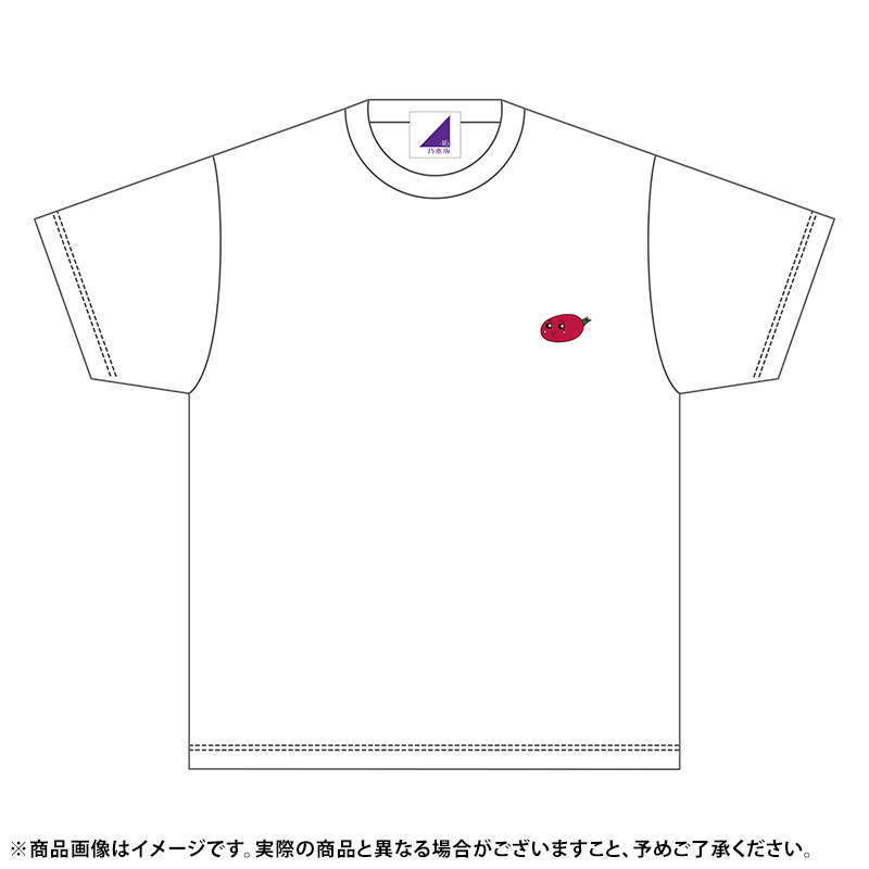 乃木坂46 OFFICIAL WEB SHOP | 乃木坂46 グッズ通販サイト