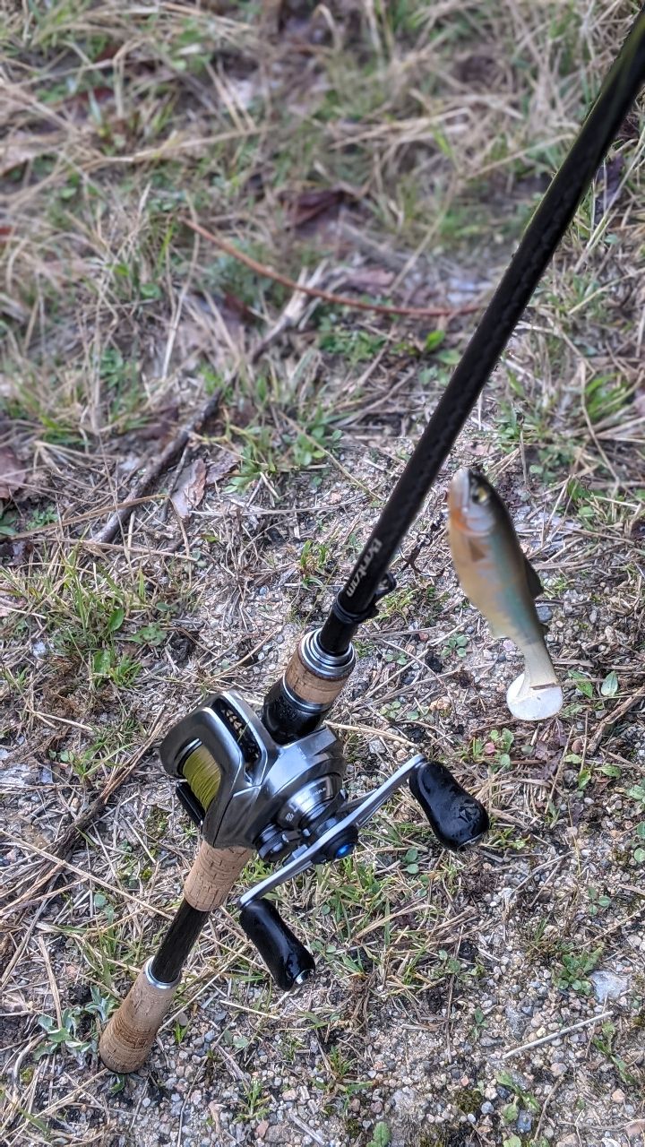 SHIMANO 22バンタム 170MHの最安値・インプレ・釣果 | 本音の口コミが