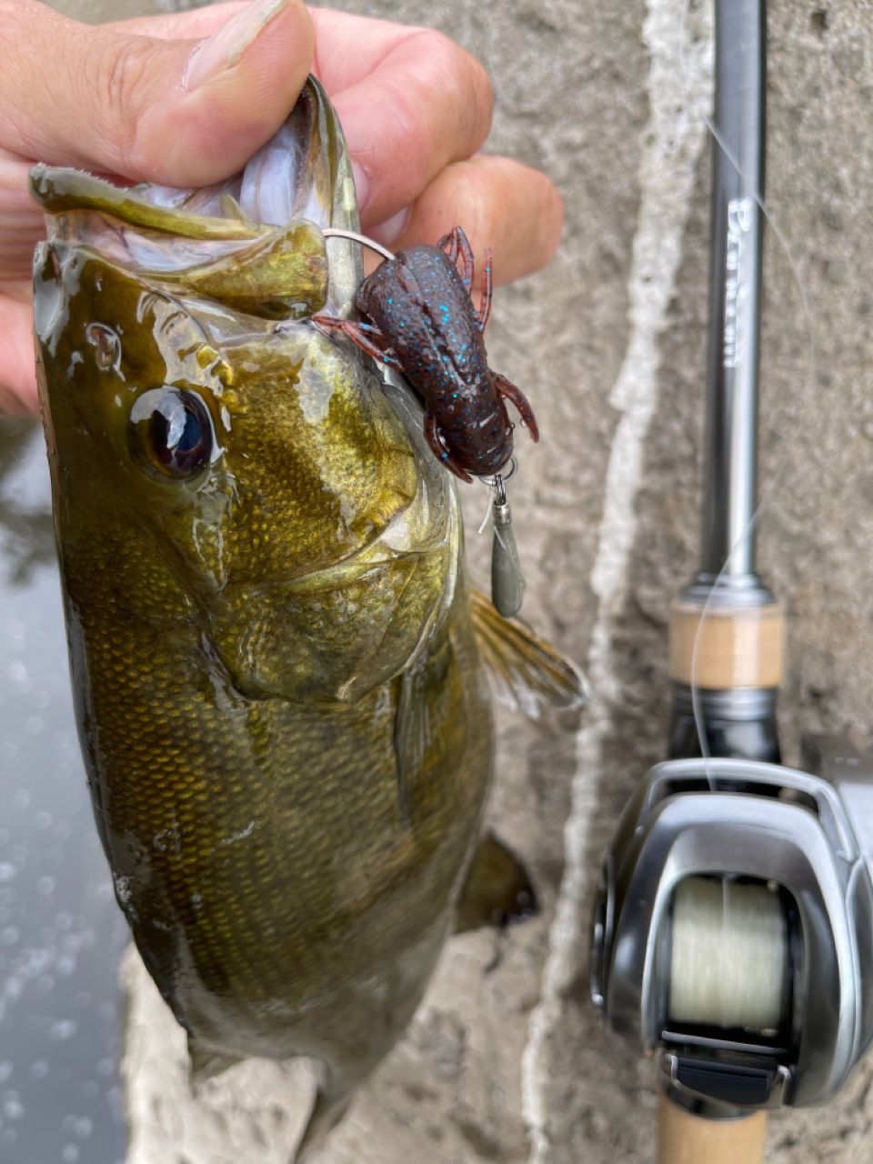 SHIMANO 22バンタム 170MHの最安値・インプレ・釣果 | 本音の口コミが