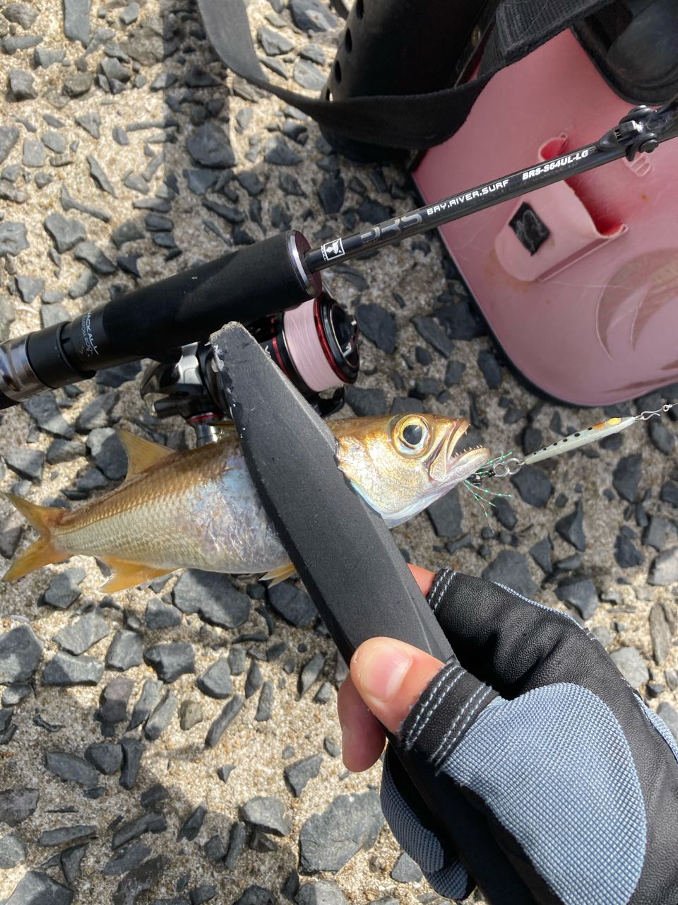 JACKALL ビーアールエス BRS-S64UL-LGの最安値・インプレ・釣果 | 本音