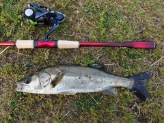 SHIMANO 18ワールドシャウラ 2831R-2のインプレ一覧 | 本音の口コミが