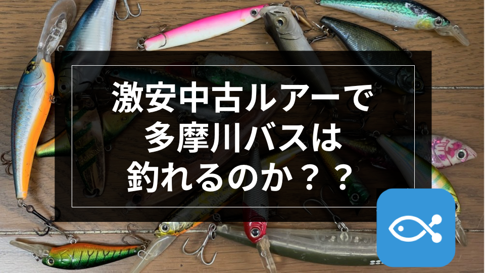 ブラックバス】激安中古ルアーで多摩川バスは釣れるのか