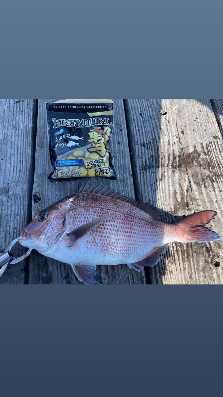 SHIMANO 19シーマーク 海上釣堀 4-360の最安値・インプレ・釣果 | 本音