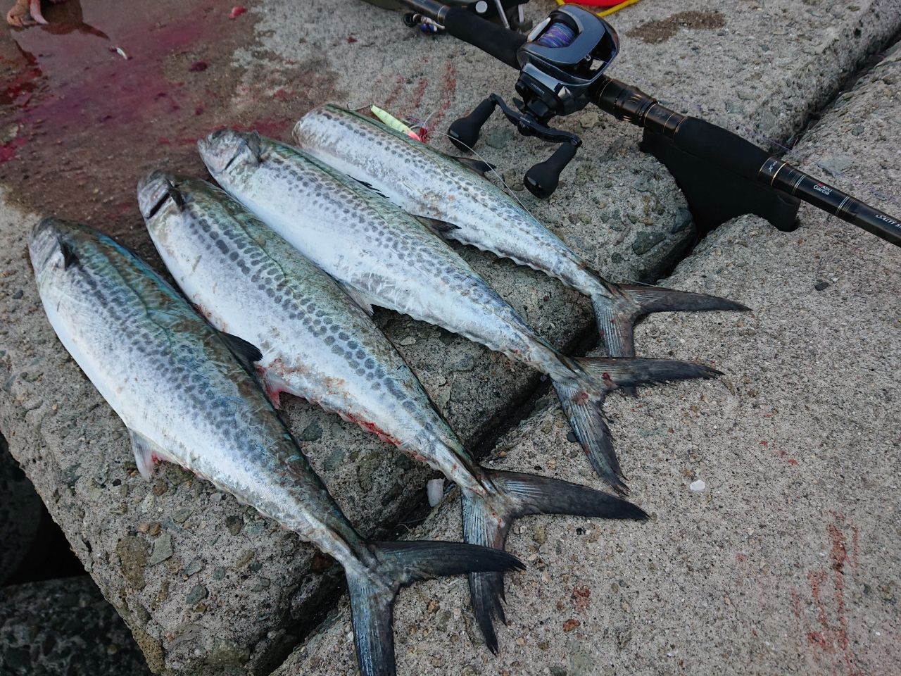 AbuGarcia ソルティーステージ KR-X ショアジギング SXJC-1032H80-KRの