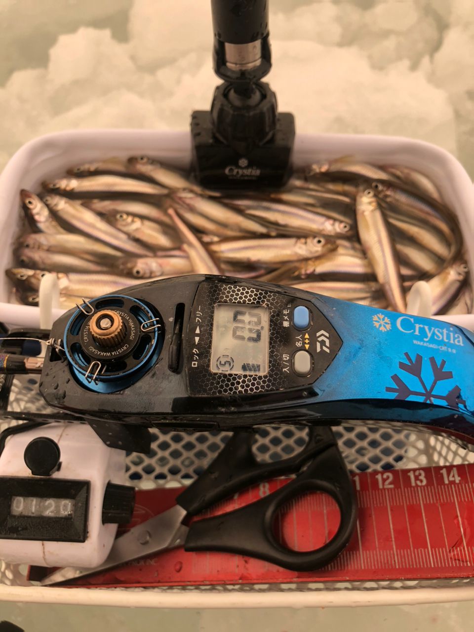 DAIWA 21クリスティア ワカサギ CRT R＋ メタルパープルの最安値