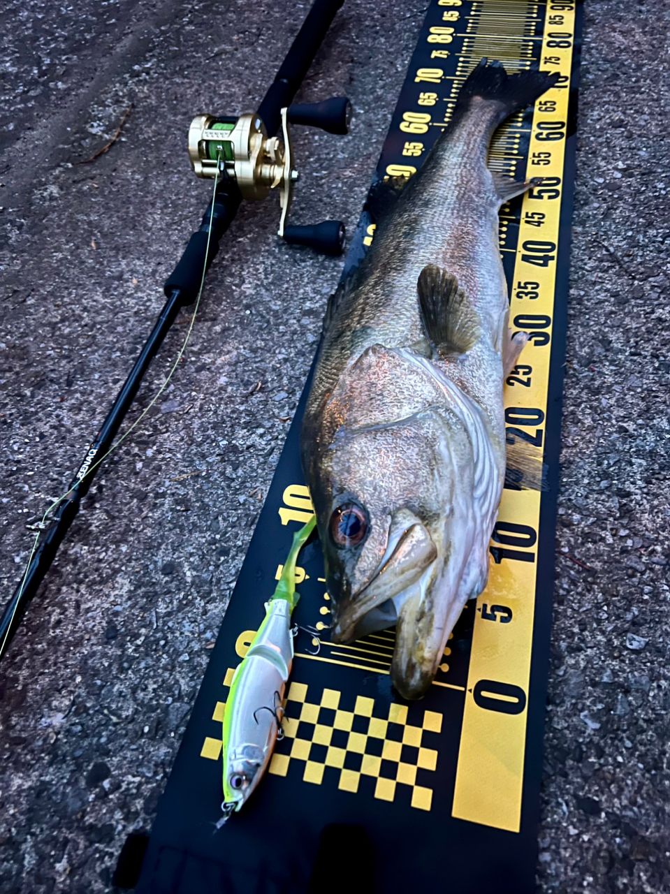 ZENAQ プレジールアンサー PA-B80の最安値・インプレ・釣果 | 本音の