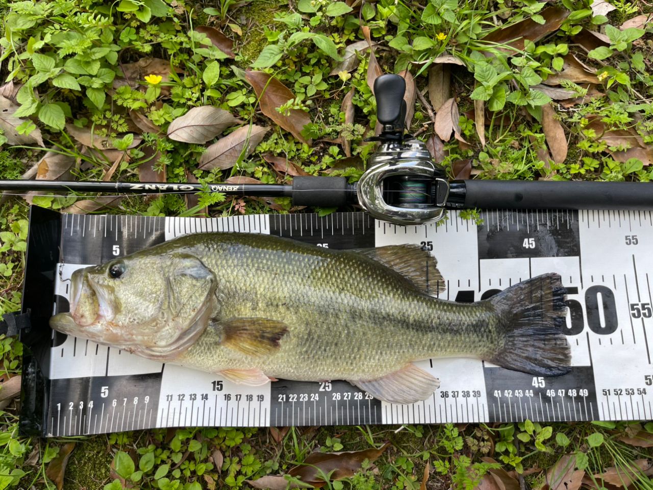 ZENAQ グランツ B73Circularの最安値・インプレ・釣果 | 本音の口コミ