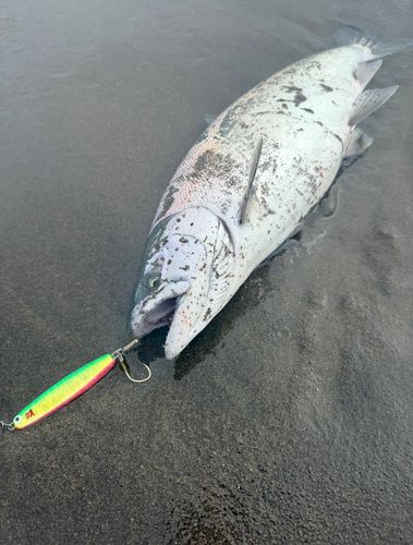 コジマクラフト(KOJIMA CRAFT) カブキメタル40w(カブキメタル40w