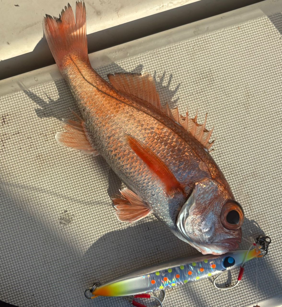 SHIMANO 18オシアジガー ∞ (インフィニティ) モーティブ B610-2+の最