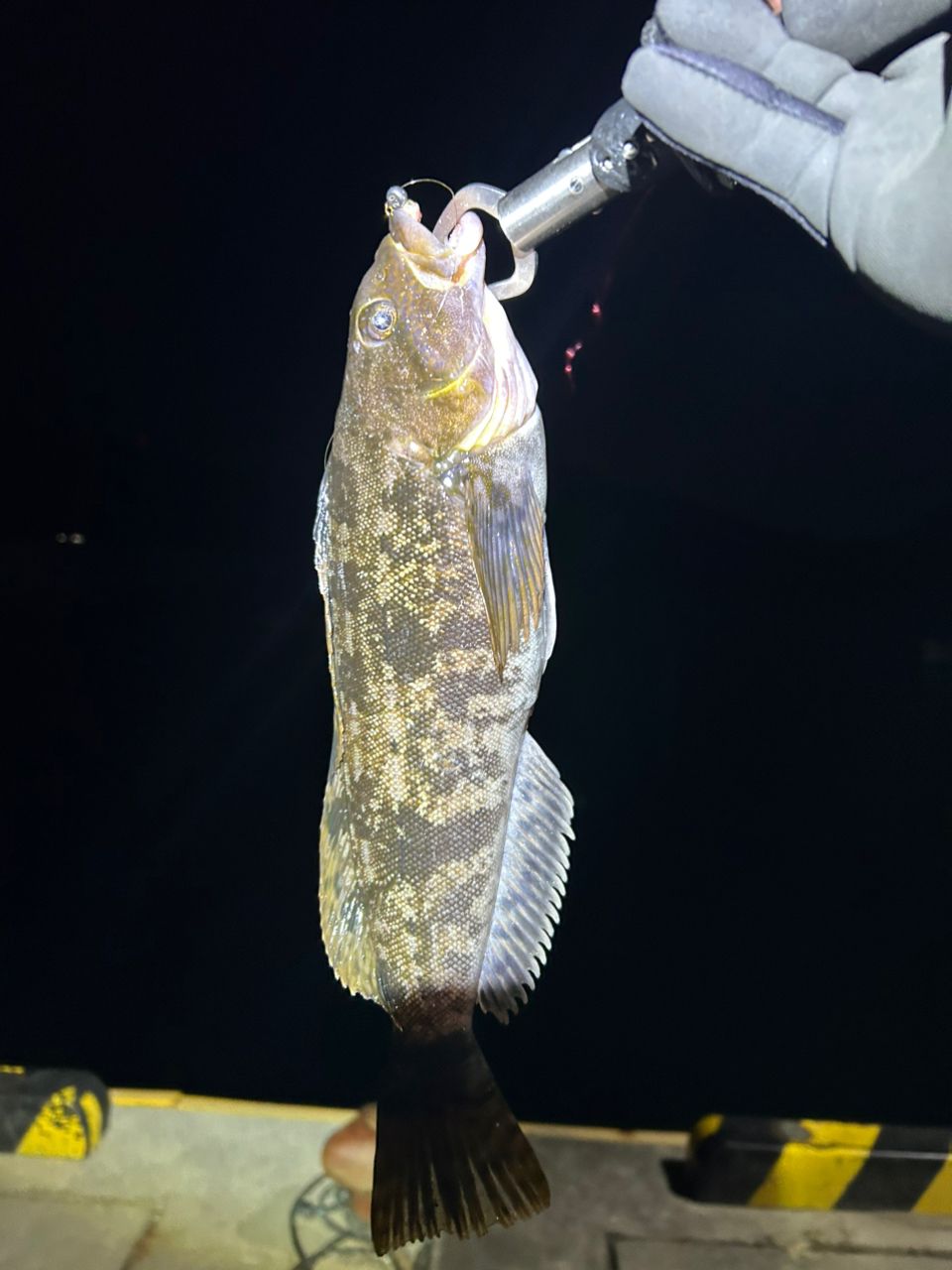 SHIMANO 21ソアレXR S68UL-Sの最安値・インプレ・釣果 | 本音の口コミ