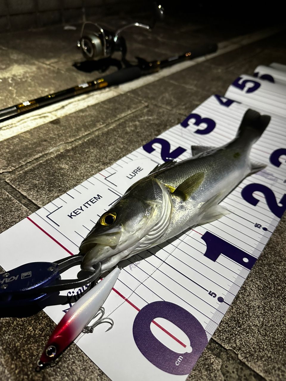 DAIWA 21モアザン ブランジーノ EX AGS 97ML/Mの最安値・インプレ