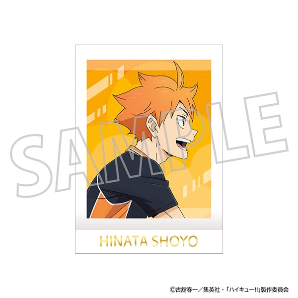 ハイキュー!! ぱしゃこれ／PREMIUM vol.2: トレーディングカード