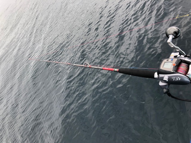 期待の新竿、ダイワ「メタリア中深場 73HH-200」で鬼カサゴに挑戦