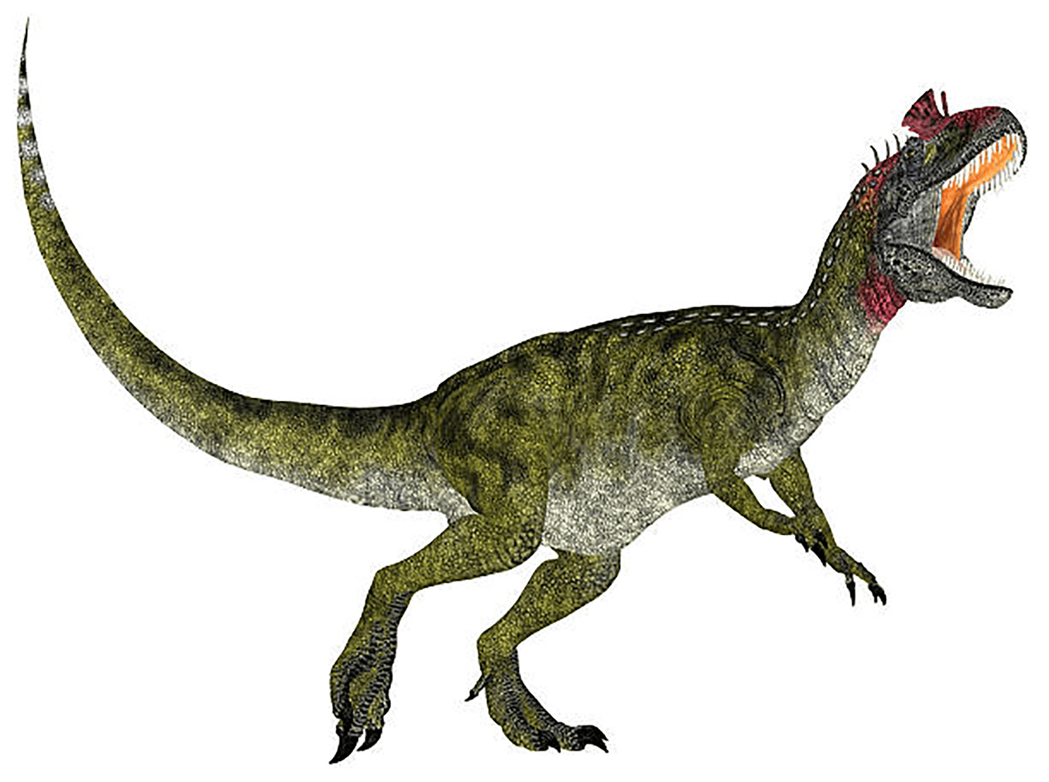 クリオロフォサウルス (Cryolophosaurus) | 恐竜大百科