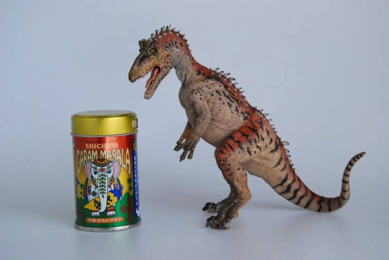 クリオロフォサウルス（Papo）レビュー | 大人の恐竜模型館