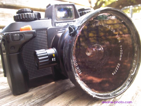 ニコノスのシステムを陸上でも活用したい 水を満たしたUW-NIKKOR 20mm