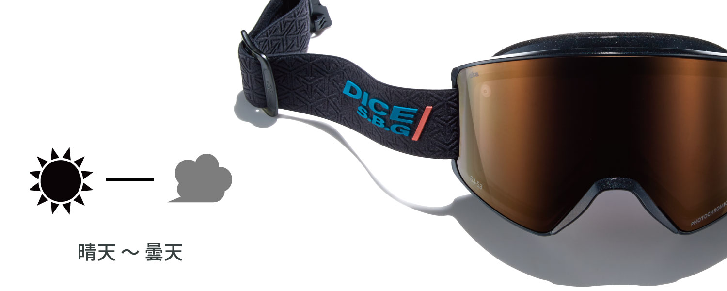 DICE snowboarding goggles | ダイススノーボーディングゴーグル